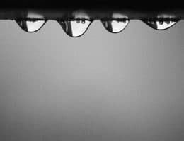 【法說重點解讀】加速車用佈局！再探新唐併購後的營運表現