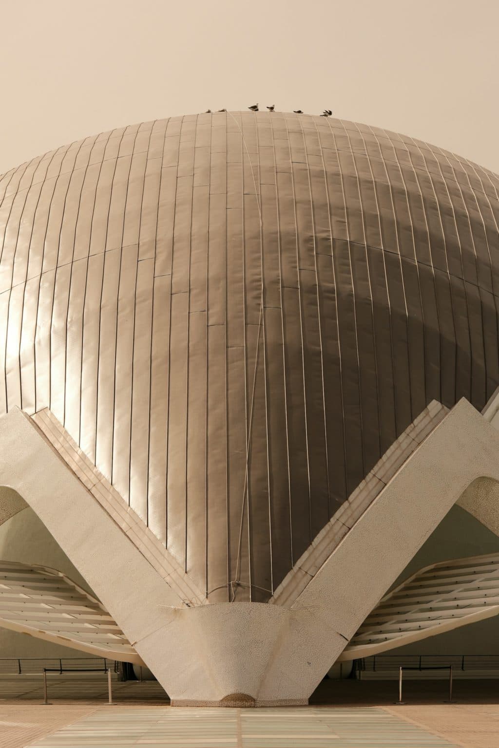 金融公司債是什麼？如何挑選金融債？