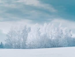 【法說會重點解讀】美光營運再衰退，記憶體需求下滑量超過預期