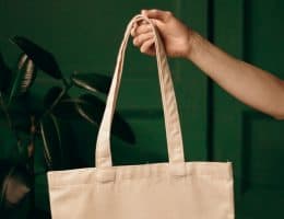 【關鍵報告】台灣電商投資分析!附 momo 購物(富邦媒)研究報告