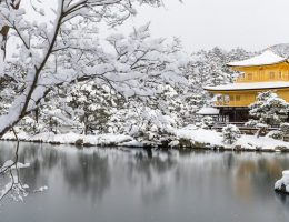 日幣匯率來到近五個月新低!日本自助旅遊上癮者搶換一波